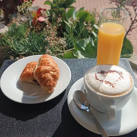 Hotel Le Dauphin Mentone