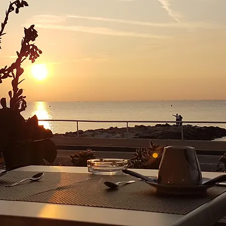 Le Dauphin Hotell 3*