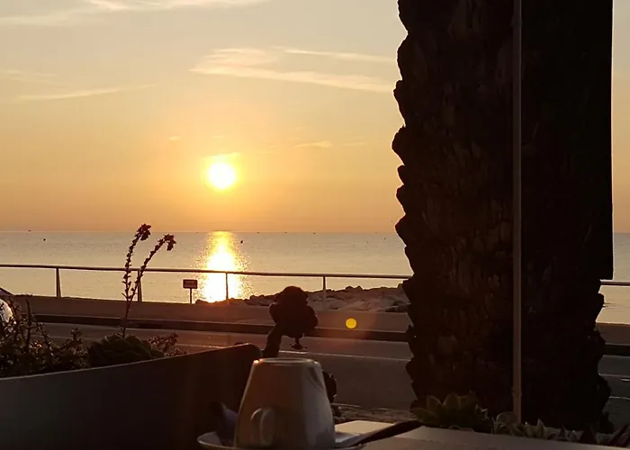 Hotel Le Dauphin Menton